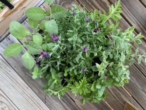 a container filled with herb plants sitting on a wooden porch floor