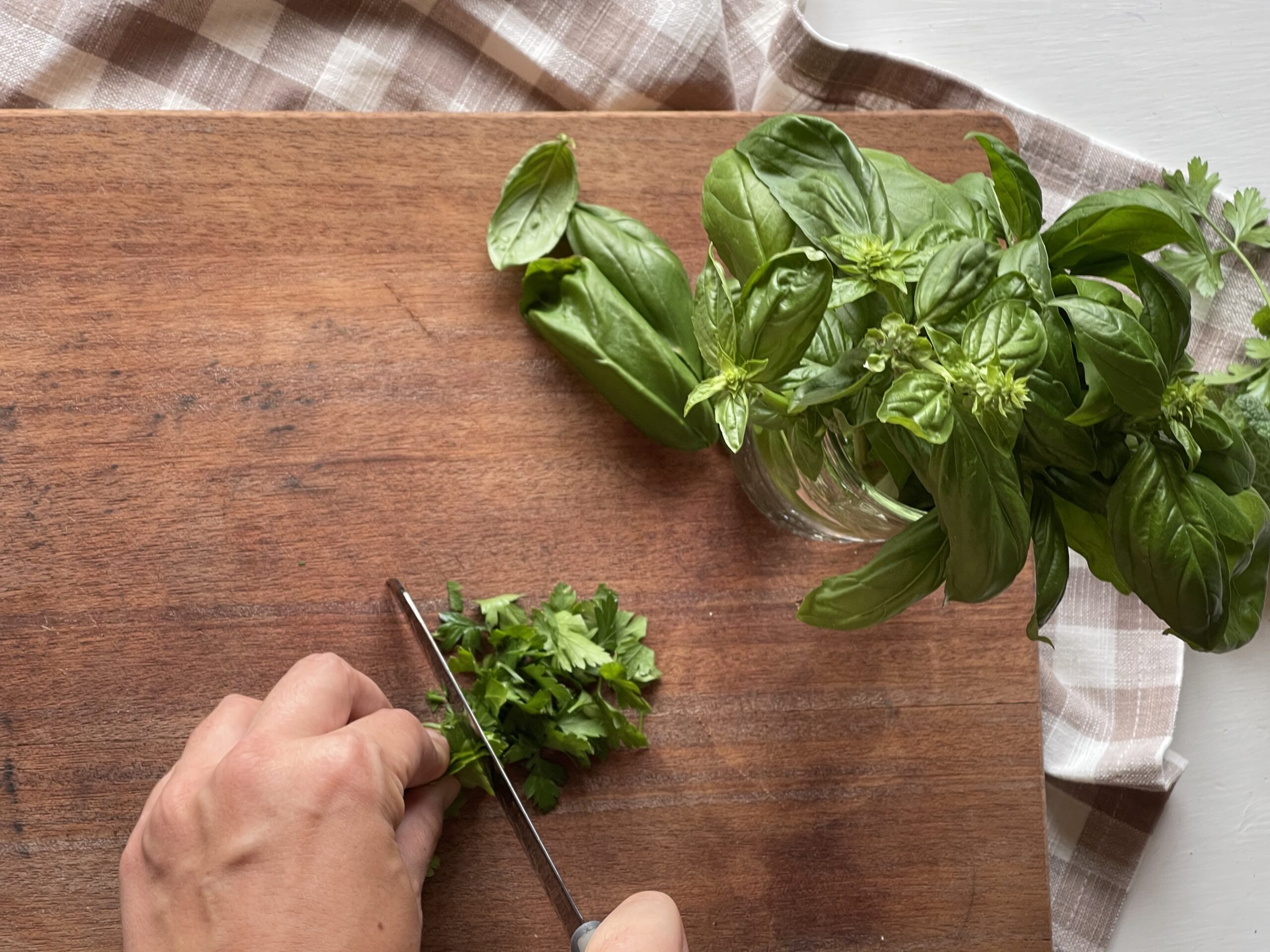 5 Easy to Grow Herbs Every Home Gardener Should Grow - Our Handcrafted Home