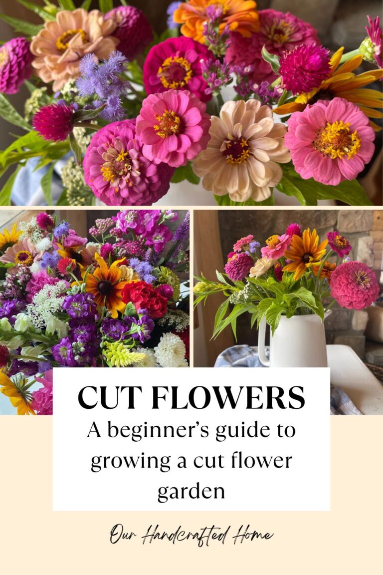 Easy and Gorgeous Cut Flower Garden for Beginners - Our Handcrafted Home