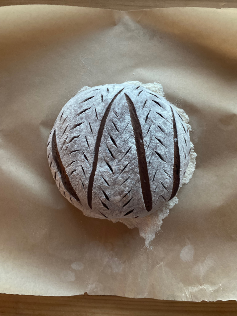 an unbaked loaf of chocolate sourdough bread, dusted with flour and scored with a pretty pattern