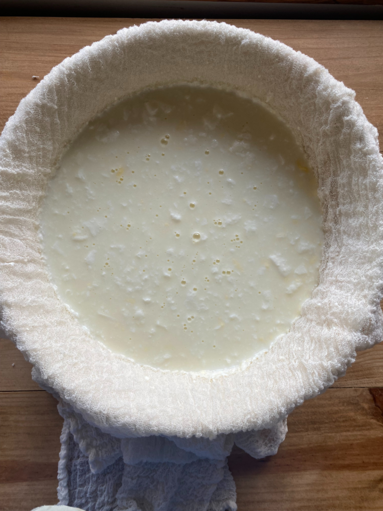 A large mixing bowl covered with cheesecloth and filled with homemade yogurt