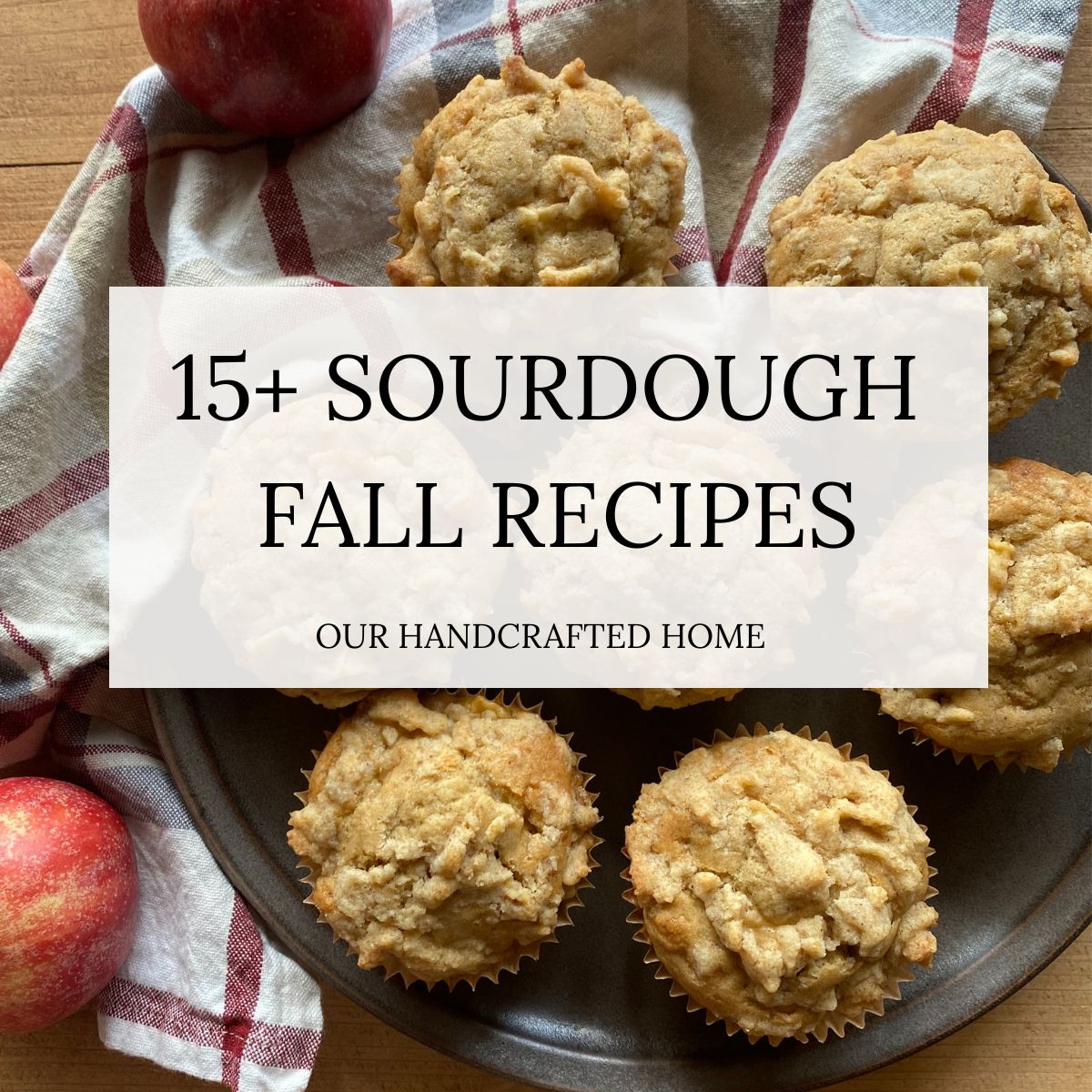 sourdough apple muffins arranged on a plate, with a checkered towel and red apples arranged around the muffins. Text overlay reads "15+ Sourdough Fall Recipes"