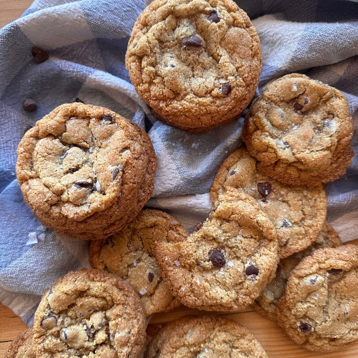 homemade fresh milled flour chocolate chip cookies arranged on a blue and white checkered towel