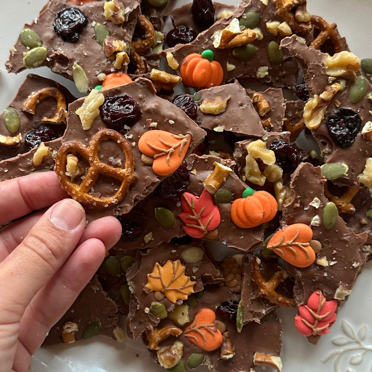 melted chocolate topped with pretzels, dried fruit, colorful fall sprinkles, and walnuts