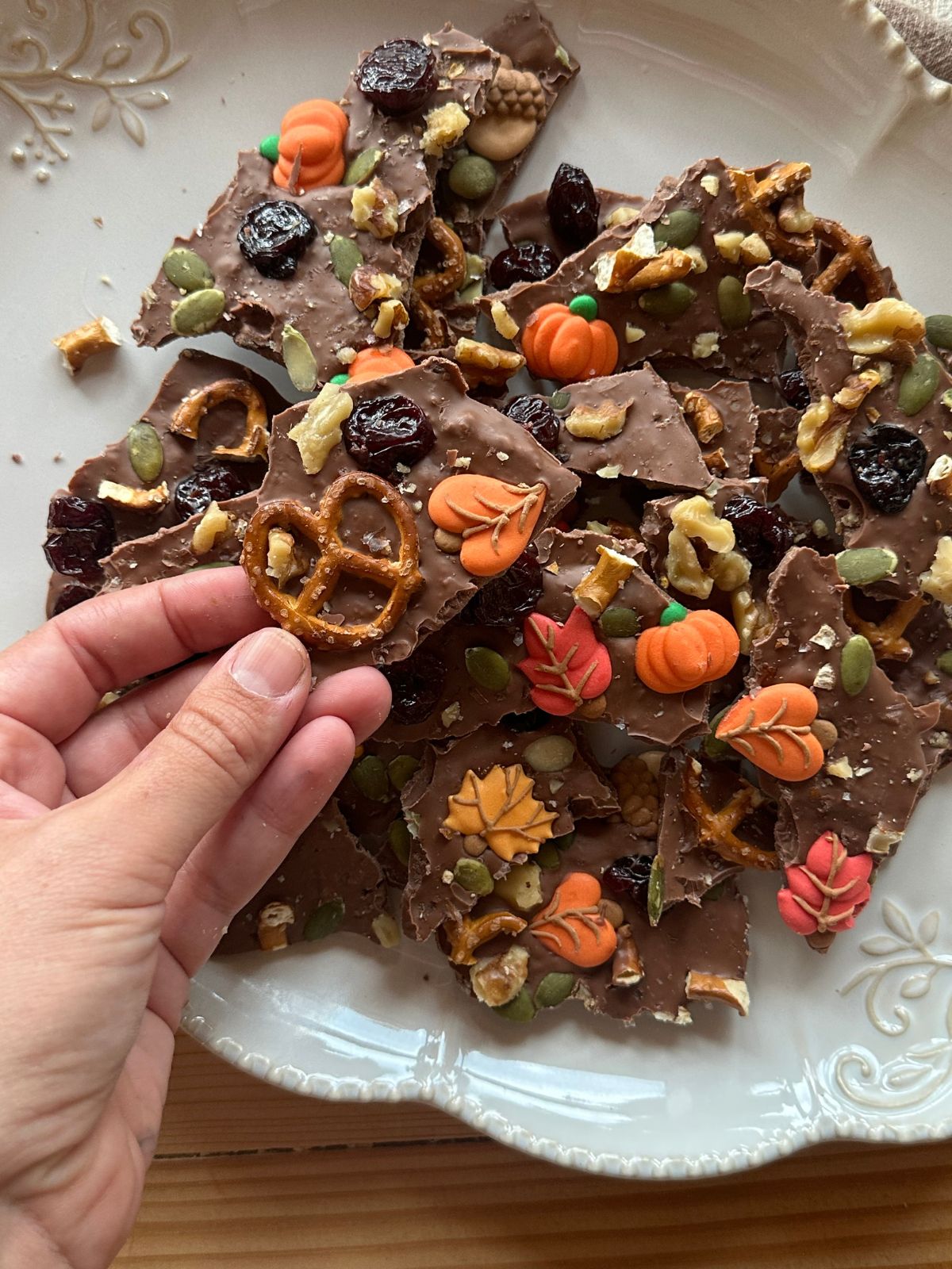 melted chocolate topped with pretzels, dried fruit, colorful fall sprinkles, and walnuts
